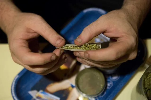 In this September 4, 2013 photo, a man rolls a joint in an apartment where the marijuana was grown in a hydroponics garden in Mexico City. Mexico allows people to carry up to 5 grams of pot for personal use, but bans sale and growing, and provides for prison sentences of up to 25 years for people convicted of producing, trafficking or selling drugs. (Photo by Eduardo Verdugo/AP Photo)