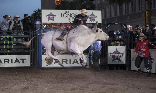 A professional bull rider competes at the premiere of “The Longest Ride” at the TCL Chinese theatre in Hollywood, California April 6, 2015. (Photo by Mario Anzuoni/Reuters)