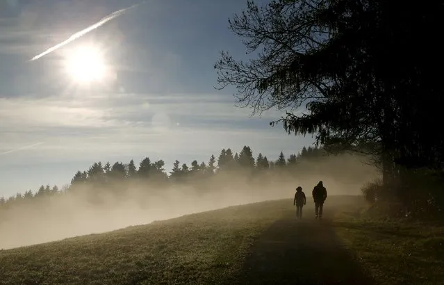 People walk along a forest as the sun shines over fog near Albis Pass mountain pass, Switzerland in this November 12, 2015 file picture. (Photo by Arnd Wiegmann/Reuters)