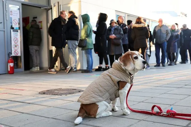 A dog sits outside a polling station as people wait in a queue to vote during the parliamentary election in Belgrade, Serbia on December 17, 2023. (Photo by Marko Djurica/Reuters)