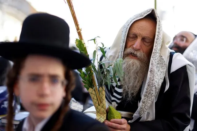 A Jewish worshipper holds the Four Species, used in rituals on the holiday of Sukkot, as he takes part in the priestly blessing ceremony, amid coronavirus disease (COVID-19) restrictions, at the Western Wall in Jerusalem's Old City on September 22, 2021. (Photo by Amir Cohen/Reuters)