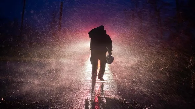 Montegut fire chief Toby Henry walks back to his fire truck in the rain as firefighters cut through trees on the road in Bourg, Louisiana as Hurricane Ida passes on August 29, 2021. Hurricane Ida struck the coast of Louisiana on August 29 as a powerful Category 4 storm, 16 years to the day after deadly Hurricane Katrina devastated the southern US city of New Orleans. “Extremely dangerous Category 4 Hurricane Ida makes landfall near Port Fourchon, Louisiana”, the National Hurricane Center wrote in an advisory. (Photo by Mark Felix/AFP Photo)