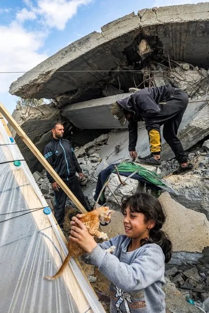 A girl holds a kitten outside a tent as others inspect the rubble of a collapsed building in Rafah in the southern Gaza Strip on January 2, 2024, amid the ongoing conflict between Israel and the Palestinian militant group Hamas. (Photo by AFP Photo)