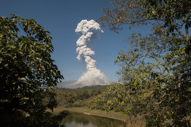 The Colima or Fuego volcano spews ash and smoke on January 23, 2017, as seen from San Antonio, Colima State, Mexico. The Colima volcano is one of the most active in Mexico and in the last days its activity has intensified. (Photo by Hector Guerrero/AFP Photo)