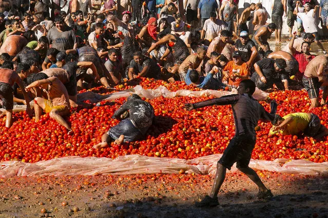 People throw tomatoes at each other during the Summer Fest in Quillon, some 300 miles south of Santiago, Chile, on Saturday, February 18, 2017. Over 100 tons of tomatoes are used during the 3-hour battle. (Photo by Mauro Medel/AP Photo)