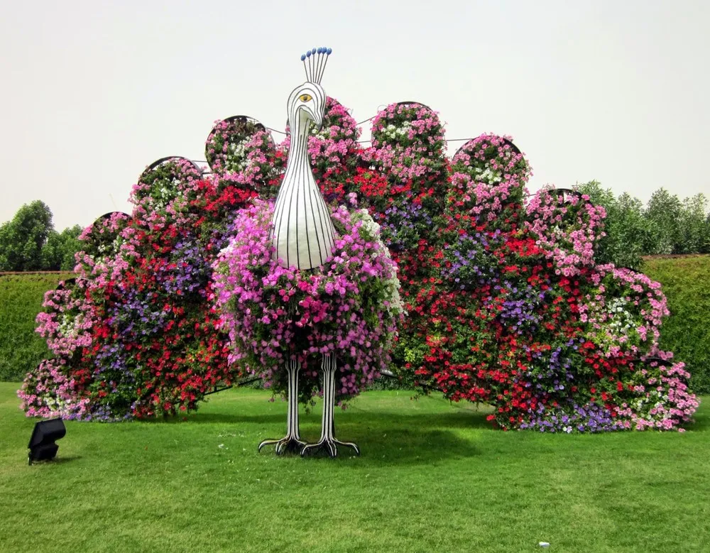 The Dubai Miracle Garden