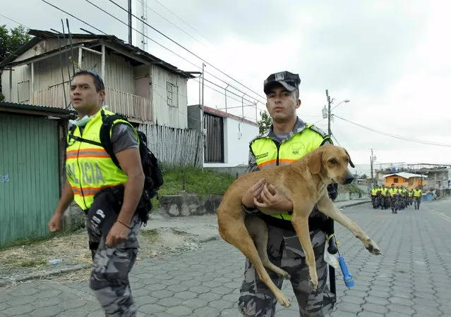 Police officers carry a rescued dog as search and rescue efforts continue in Pedernales, after an earthquake struck off Ecuador's Pacific coast, April 20, 2016. (Photo by Guillermo Granja/Reuters)