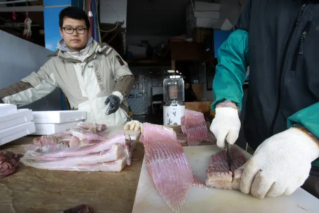 In this February 19, 2014 photo, a skate seller cuts a skate for shipment to customers around South Korea at a fish market in Mokpo, a port city on the southwestern tip of the Korean Peninsula. (Photo by Ahn Young-joon/AP Photo)