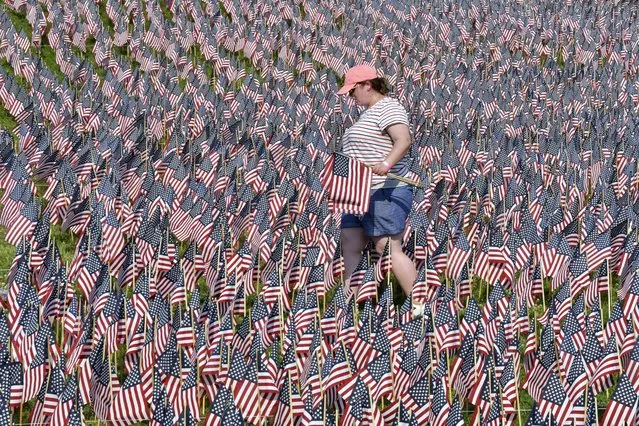 A volunteer walks through a field of American flags planted on Boston Common ahead of Memorial Day, Wednesday, May 26, 2021, in Boston. After more than a year of isolation, American veterans are embracing plans for a more traditional Memorial Day. They say wreath-laying ceremonies, barbecues at local vets halls and other familiar events are a welcome chance to reconnect with fellow service members and renew solemn traditions honoring the nation’s war dead. (Photo by Josh Reynolds/AP Photo)