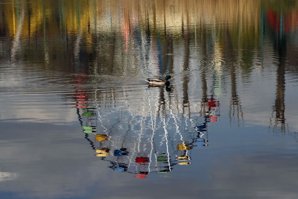 Some Photos: Reflection