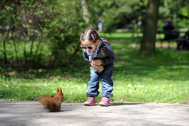 A child looks at a squirrel at the Royal Lazienki Park in Warsaw, on Easter Monday, Poland, 21 April 2014. (Photo by Grzegorz Jakubowski/EPA)