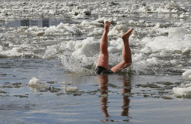 A member of the “Yenisei walruses” winter swimming club Alexander Alexandrov, 39, dives from a floe during an ice drift on the Yenisei River in Krasnoyarsk, Russia, April 18, 2017. (Photo by Ilya Naymushin/Reuters)