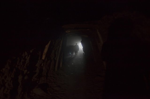 A miner with a stick in his hand walks his donkeys into the depths of a coal mine in Choa Saidan Shah in Punjab province April 29, 2014. (Photo by Sara Farid/Reuters)