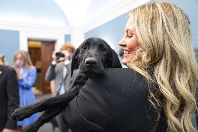 The launch of the Congressional Working Dog Caucus in Washington, DC on July 23, 2024. (Photo by Allison Robbert/The Washington Post)