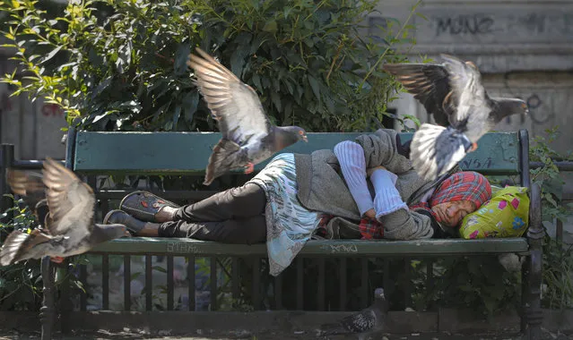 Pigeons fly by a woman sleeping on a bench on a hot day in Bucharest, Romania, Wednesday, August 7, 2019. The national weather authority issued a heat wave warning with temperatures expected to rise above 35 degrees Centigrade (95 Fahrenheit) in the shade in the coming days. (Photo by Vadim Ghirda/AP Photo)