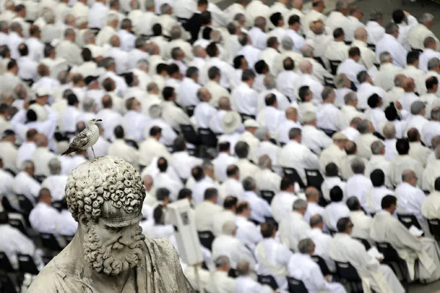 A seagull sits on the statue of St. Peter which towers over deacons attending a Mass lead by Pope Francis for the Jubilee, Holy Year, of Deacons, in St. Peter's Square at the Vatican, Sunday, May 29, 2016. (Photo by Gregorio Borgia/AP Photo)