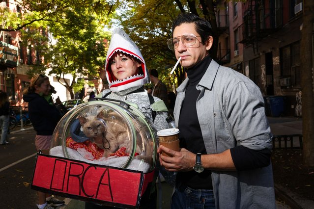 Screamy the cat and its owners are dressed as JAWS characters before the Halloween Dog Parade in New York City, U.S., October 19, 2024. (Photo by Caitlin Ochs/Reuters)