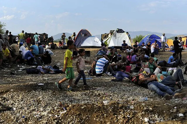 Migrants camp near the village of Idomeni at the Greek-Macedonian border, August 20, 2015. (Photo by Alexandros Avramidis/Reuters)