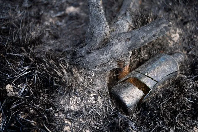 A photograph shows a broken glass bottle in a burned landscape after a wilfire hit Brasparts, western, France, on July 21, 2022. The fire in the Monts d'Arree is “controlled”, the situation “totally stabilized“ and the roads will reopen “during the day”, announced on July 21, 2022 in the early afternoon the prefecture of Finistere. (Photo by Fred Tanneau/AFP Photo)