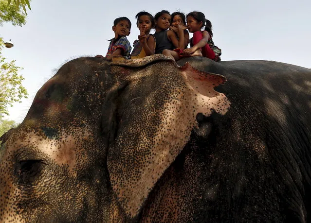 Children gesture as they ride on an elephant outside a temple in the western Indian city of Ahmedabad April 20, 2015. (Photo by Amit Dave/Reuters)