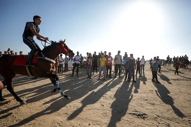 A Palestinian rides a horse during a horse race on the grounds of Yasser Arafat Airport in eastern Rafah, southern Gaza Strip, 28 June 2022. The Yasser Arafat Airport, opened in November 1998, is not operational since December 2001 after the facility buildings were targeted by Israeli airstrikes, while the runway was damaged by Israeli bulldozers in 2002. (Photo by Mohammed Saber/EPA/EFE)