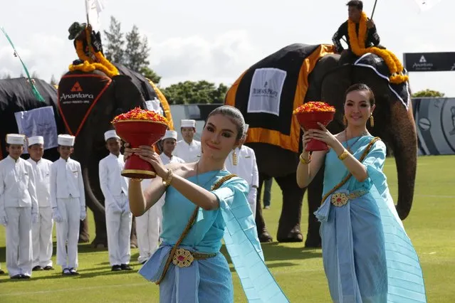 Thai traditional dancers carry and dance with flower petals and elephants as an elephant parade opens first day's play at the King's Cup Elephant Polo Tournament 2014 held near Bangkok, in Samut Prakan province, Thailand, 28 August 2014. (Photo by Barbara Walton/EPA)