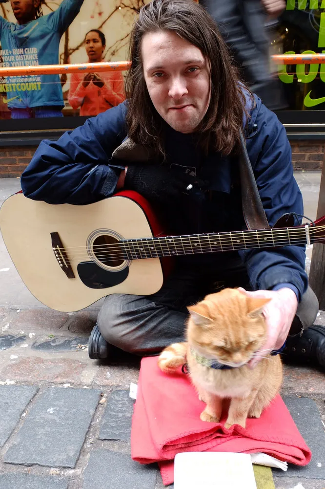 A Street Cat Named Bob