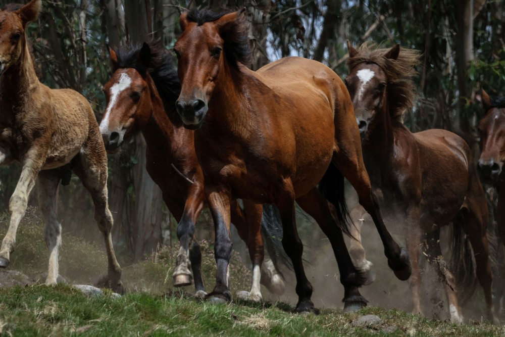 Some Photos: In Motion