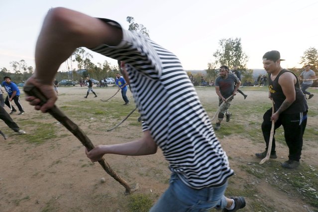 People play "Palin", a traditional ritual and ancestral Mapuche game played with curved sticks called "Chuecas" and a wooden ball, during a meet on Dia de la Raza (Day of the Races), also known as Columbus Day in Vina del Mar, Chile October 11, 2015. (Photo by Rodrigo Garrido/Reuters)