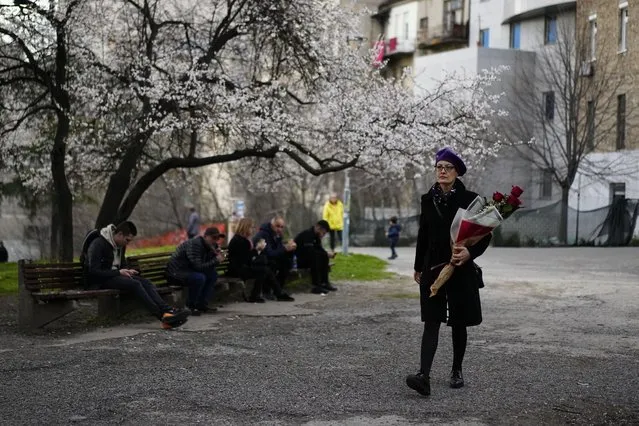 A woman walks with flowers during the International Women's Day in Belgrade, Serbia, Wednesday, March 8, 2023. (Photo by Pavel Golovkin/AP Photo)