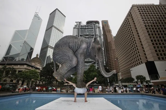 A five meters high sculpture “Pentateuque” created by Contemporary French artist Fabien Merelle, is displayed in Central, business district of Hong Kong, Tuesday, May 21, 2013. The artwork brings to real life the fantastical and seemingly impossible act of an average man balancing a gigantic elephant. The elephant and the man are modeled on one at the Singapore Zoo and on the artist himself. (AP Photo/Kin Cheung)