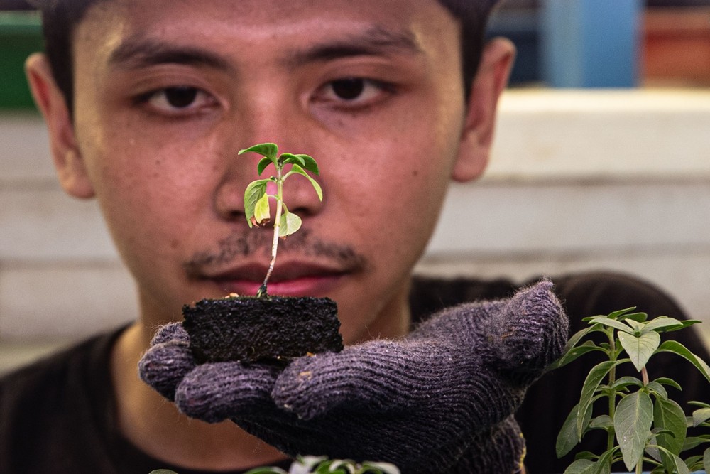 A Look at Life in Indonesia