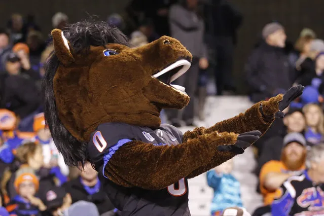 Boise State mascot Buster Bronco points to the TV screen during the second half of an NCAA college football game against San Jose State in Boise, Idaho, Friday, November 4, 2016. Boise State won 45-31. (Photo by Otto Kitsinger/AP Photo)