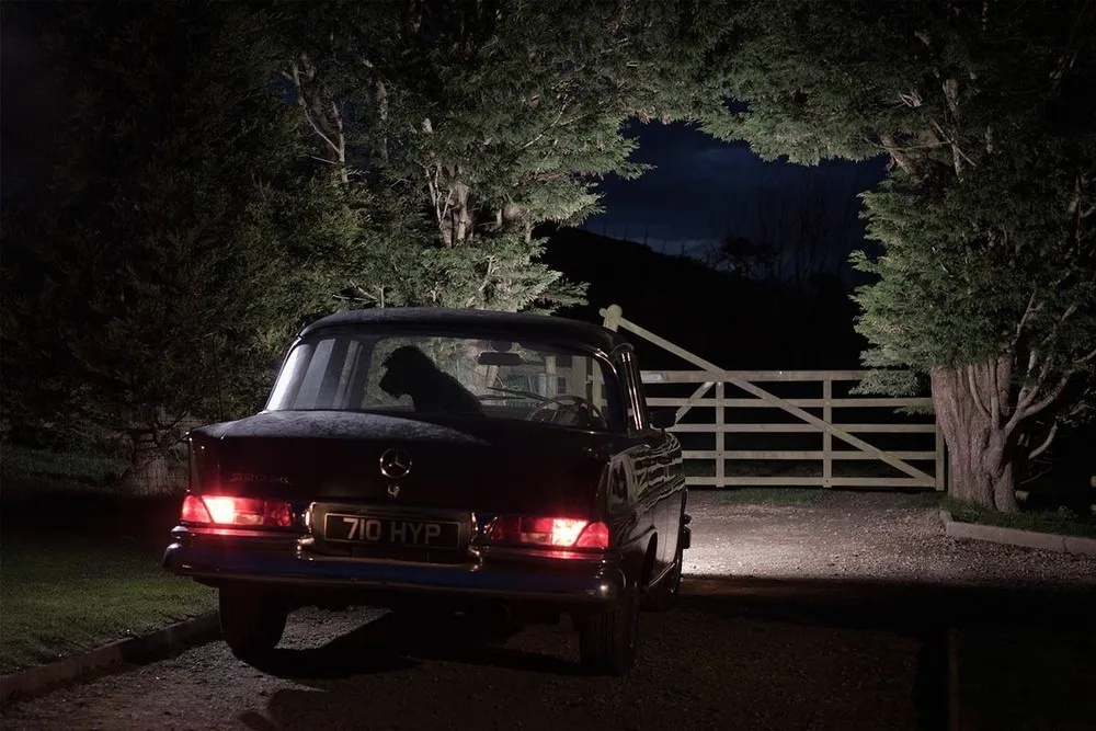 The Silence of Dogs in Cars