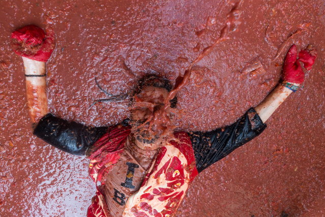 A man lies on the ground as he is covered in tomato juice during the traditional Tomatina battle in Bunol, Spain, 29 August 2018. As every year on the last Wednesday of August, thousands of people visit the small village of Bunol to attend the Tomatina, a battle in which tons of ripe tomatoes are used as weapons. This year, a total of 145 tons of ripe tomatoes will be thrown between more than 22,000 participants. (Photo by Rodrigo Jimenez/EPA/EFE)