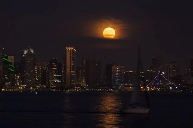 A super moon, known as the Blue Moon, rises above the city of San Diego, California, U.S., August 30, 2023. (Photo by Mike Blake/Reuters)