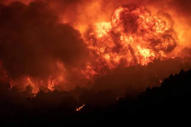 Flames rise as a wildfire burns on Mount Parnitha, in Athens, Greece on August 24, 2023. (Photo by Nicolas Economou/Reuters)