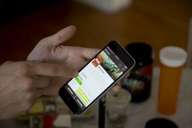 In this March 3, 2015, pot club member Homero Fernandez shows a smart phone app that details the properties of different marijuana varieties in Mexico City. A U.S. Drug Enforcement Administration official told NPR in December that Mexican cartel operatives were smuggling in high-end U.S. marijuana to sell to wealthy customers, though there's no sign so far of a massive southward trade. (Photo by Eduardo Verdugo/AP Photo)