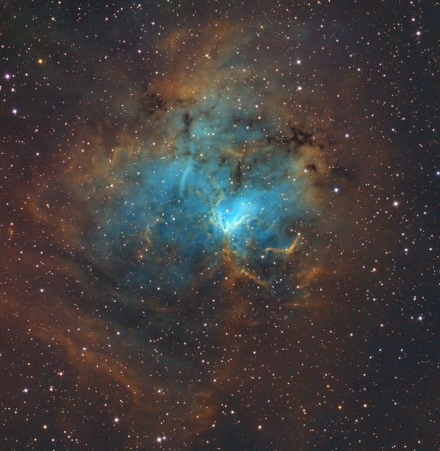NGC1491 is an emission nebula in Perseus. It is about 10,000 light years away. (Bill Snyder)