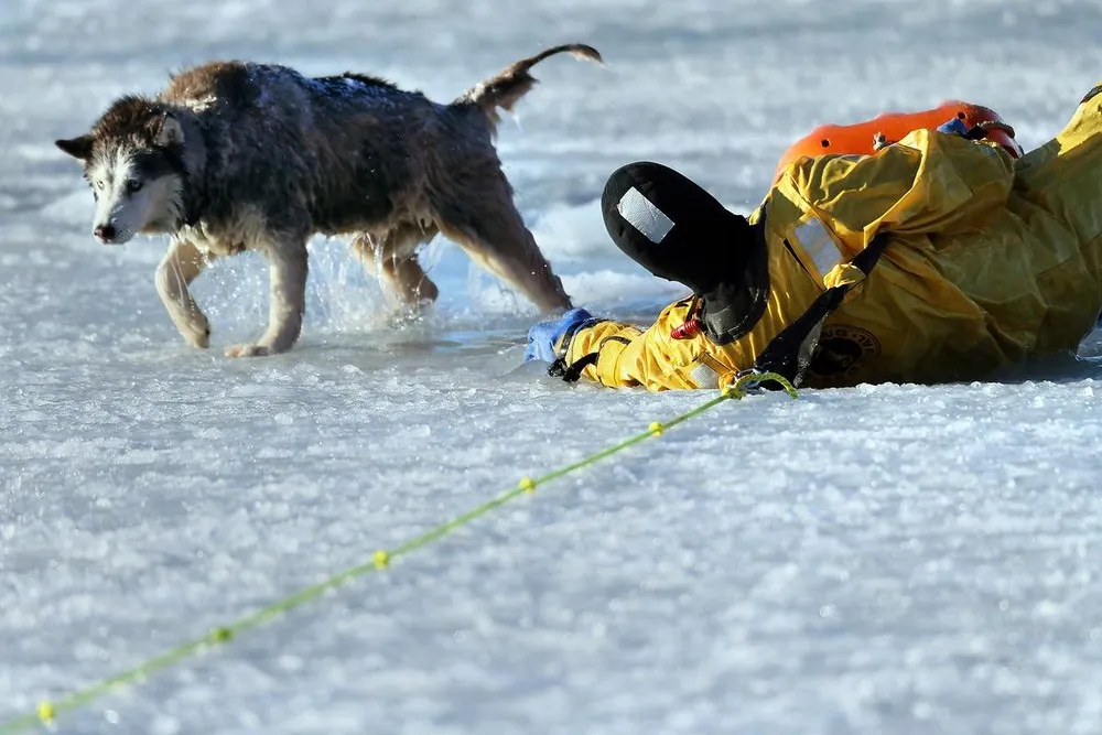 Boston Firefighter Saves Dog From Icy Harbor