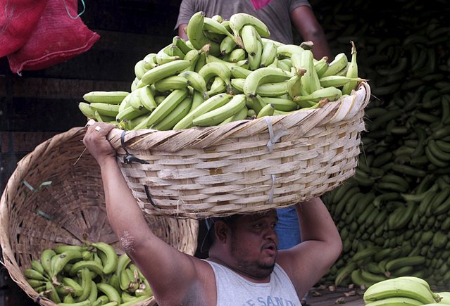 A man loads bananas at the Oriental market, considered one of Central America's largest market, in Managua April 30, 2015, one day before International Workers' Day. (Photo by Oswaldo Rivas/Reuters)