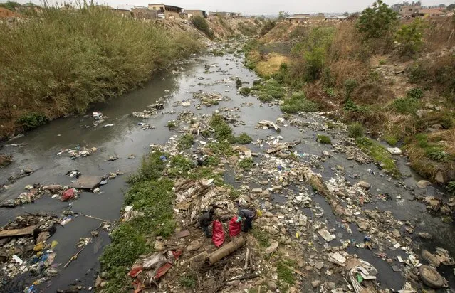 Volunteers collect waste from Jukskei River at Alexandra township to mark the World Cleanup Day, Saturday, September 18, 2021, in Johannesburg, South Africa. (Photo by Themba Hadebe/AP Photo)