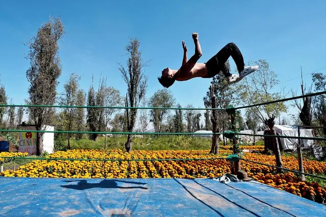 Mexican Lucha Libre wrestler Gran Felipe Jr. does a backflip during an exhibition near thear the Mexican Marigold fields in Xochimilco, on the outskirts of Mexico City, Wednesday, October 13, 2021. Mexican Marigold, known as cempazúchitl is also called the flower of the dead in Mexico and is used in Day of the Dead celebrations every Nov. 2. (Photo by Marco Ugarte/AP Photo)