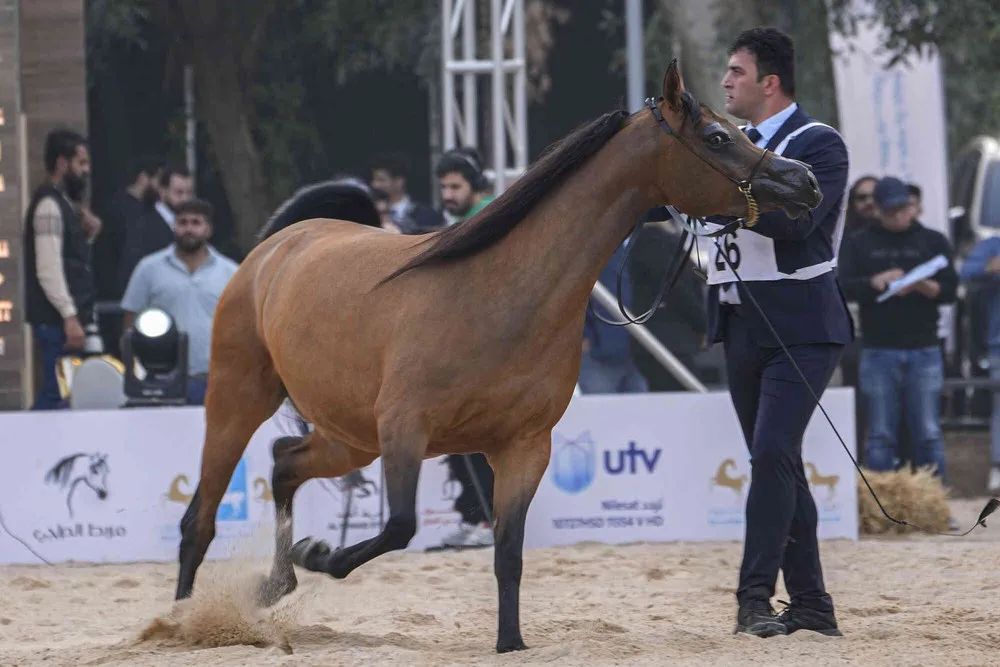 A Look at Life in Iraq