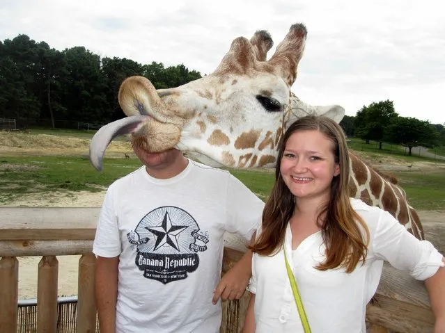 “Boyfriend and I got photo bombed by a giraffe”. (Photo by dlmead)