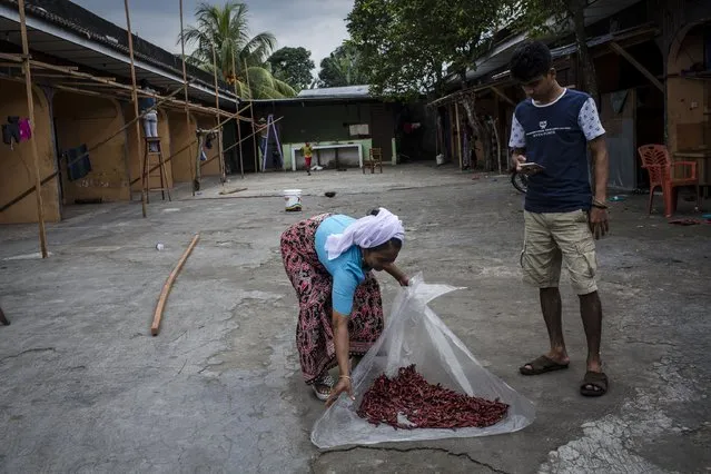 A Rohingya refugee  Jamila Khatun, collect dry chili in front of their refugee camp on February 11, 2017 in Medan, North Sumatra, Indonesia. (Photo by Ulet Ifansasti/Getty Images)