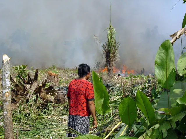 A Tsimane man monitors a burning field, among a group of indigenous people with a traditional lifestyle deep in the Bolivian Amazon, and according to a new study released Friday March 17, 2017, they have some of the healthiest hearts on the planet, according to Dr. Randall Thompson, a cardiologist at St. Luke’s Health System in Kansas City, Missouri, USA.  Scientists say the new findings underline the significance of lowering the traditional risk factors for heart disease, and like the Tsimane people, we should be physically active and have a low fat, low sugar diet. (Photo by Michael Gurven/St. Luke’s Health System Kansas City via AP Photo)