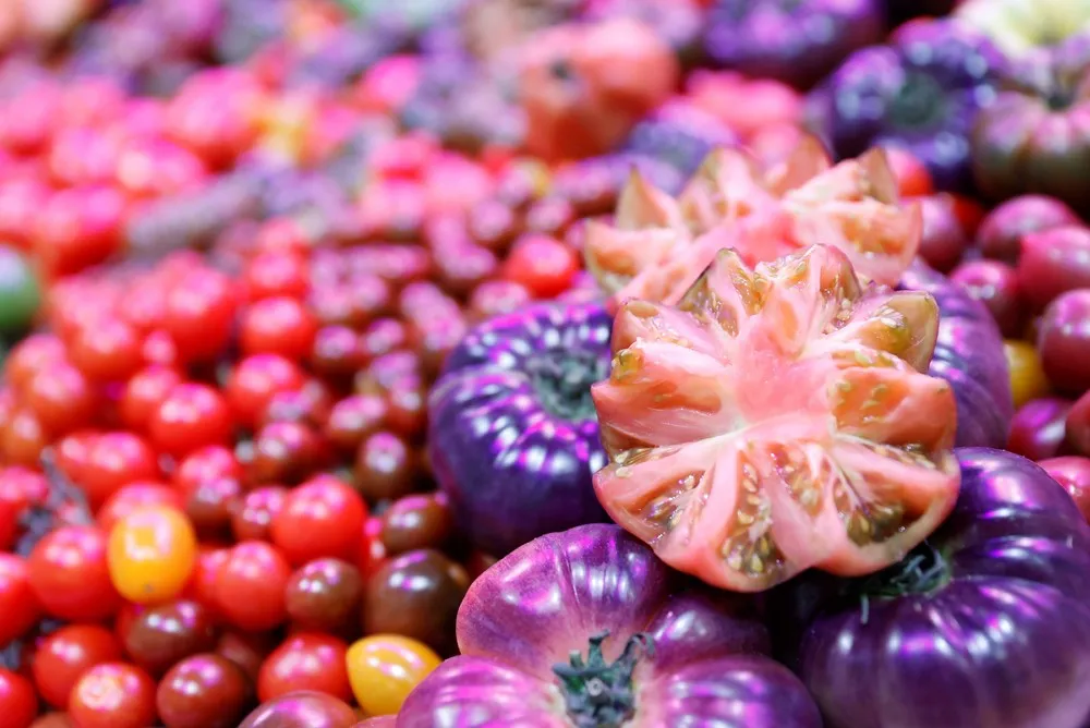 Pictures of the Year 2021, Part 34/102