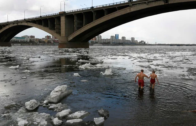 Members of the “Yenisei walruses” winter swimming club walk into the Yenisei River in Krasnoyarsk, Russia, April 18, 2017. (Photo by Ilya Naymushin/Reuters)