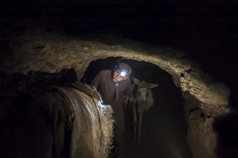 Coal Donkeys: Pakistan's Hard-working Beasts